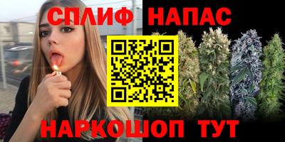 молекула духа Ливны